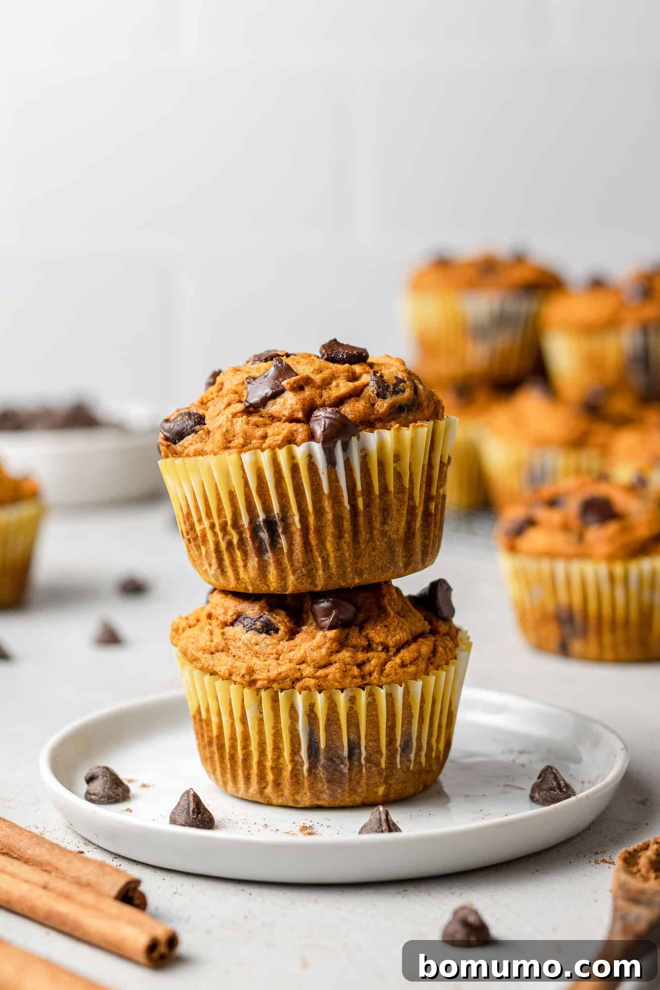 Two healthy pumpkin chocolate chip muffins stacked on a small white plate, with more muffins in the background, highlighting their rich texture and abundant chocolate chips.