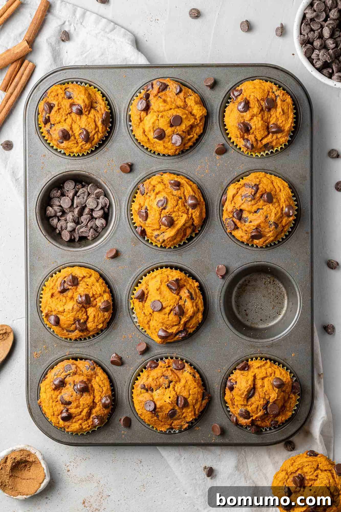 Overhead view of healthy pumpkin chocolate chip muffins cooling in a muffin pan, with two muffins already taken out.