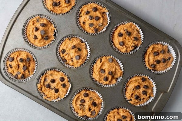 Unbaked pumpkin chocolate chip muffins neatly scooped into a muffin tin, ready for the oven.