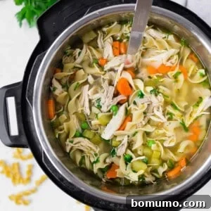 Instant Pot Chicken Noodle Soup in an Instant Pot, ready to be served.