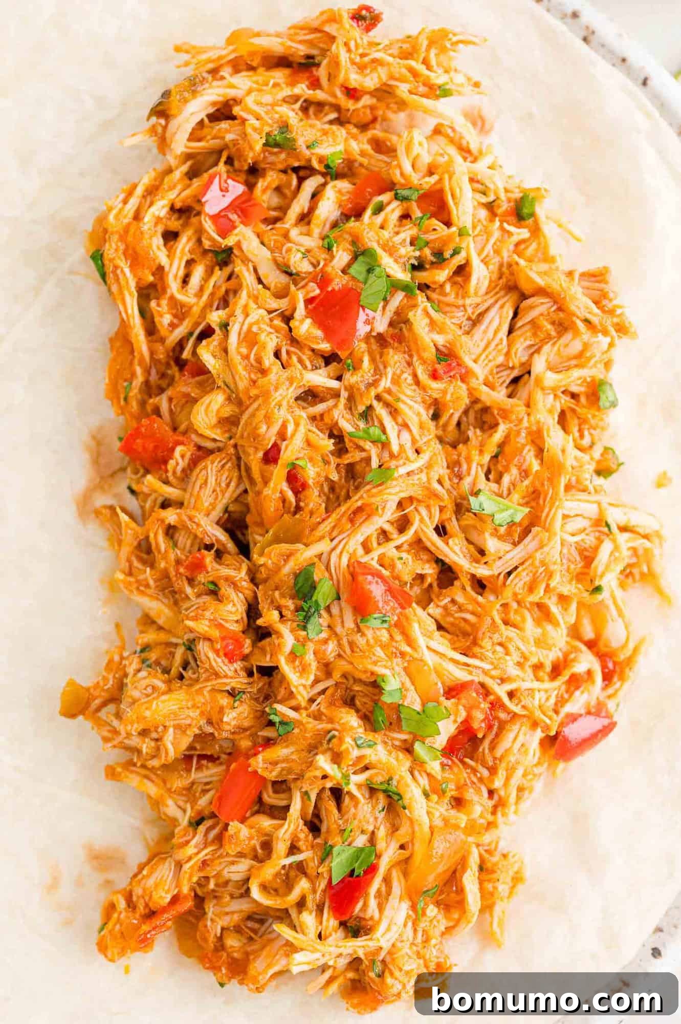 Overhead view of a large flour tortilla topped with crockpot salsa chicken.