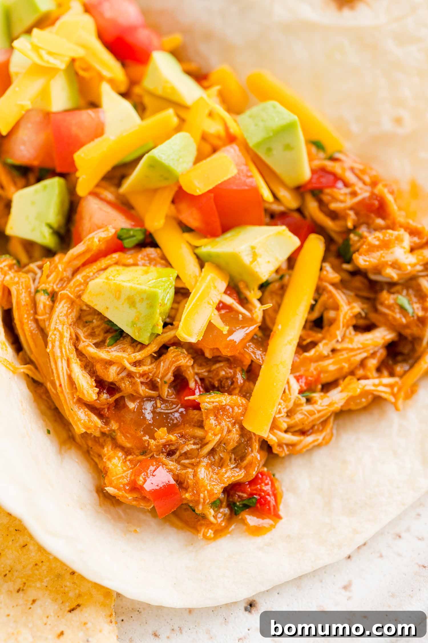 Crockpot salsa chicken served inside a flour tortilla with diced avocado, tomatoes, and shredded cheese.