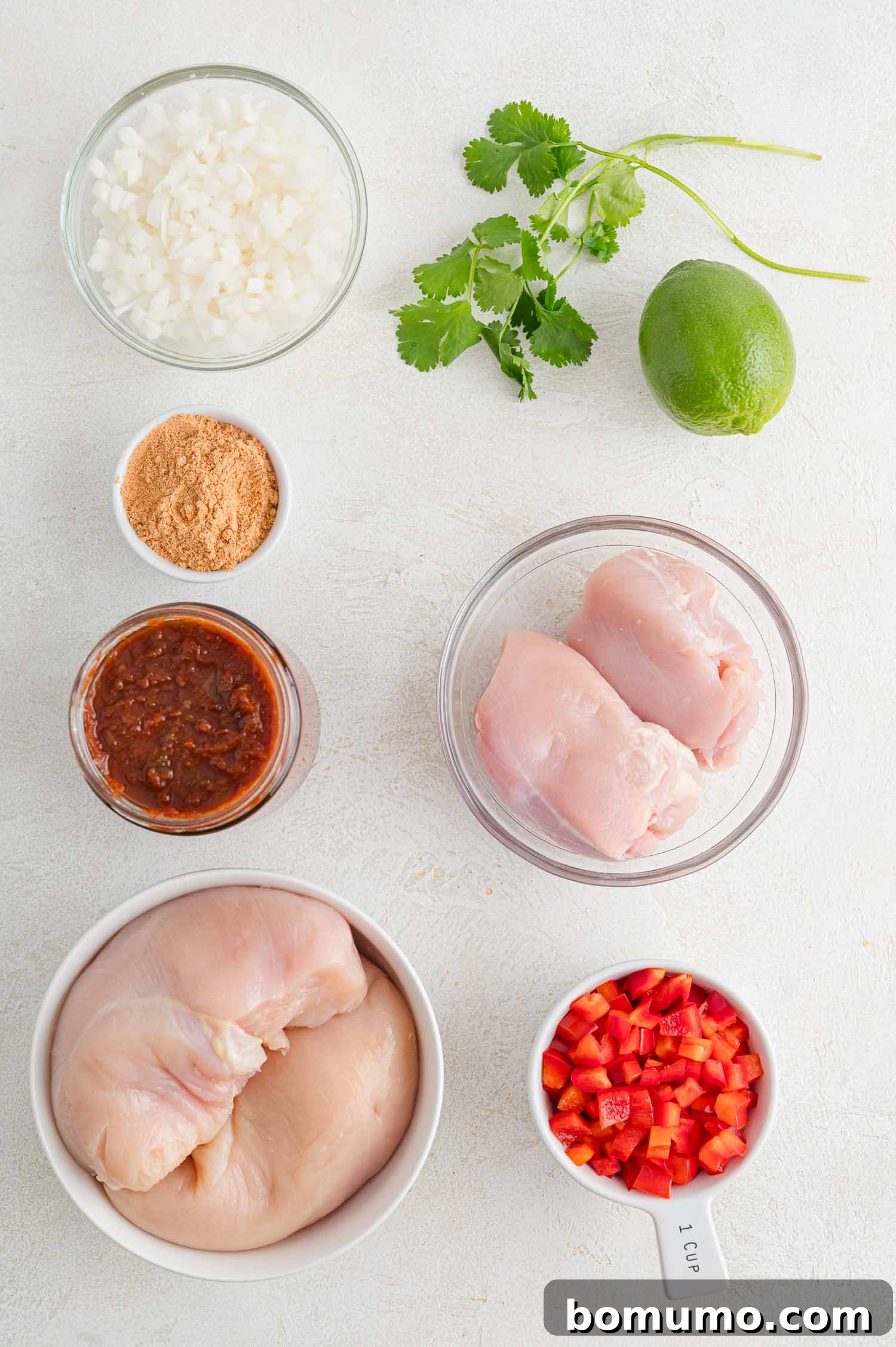 The ingredients for crockpot salsa chicken.