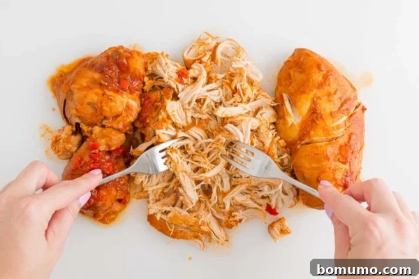 Hands use two forks to shred cooked salsa chicken on a countertop.