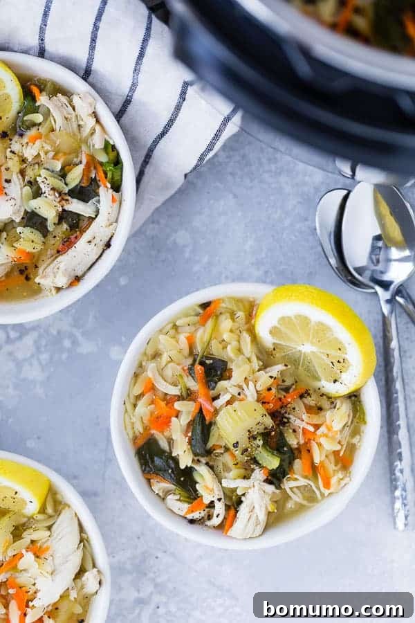 A beautifully presented bowl of Instant Pot Lemon Chicken Orzo Soup, garnished with fresh herbs and a lemon slice, photographed from above.