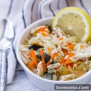 This Instant Pot Lemon Chicken Orzo Soup is cozy and comforting, but the bright, fresh flavor of the lemon makes it taste just a little like spring.
