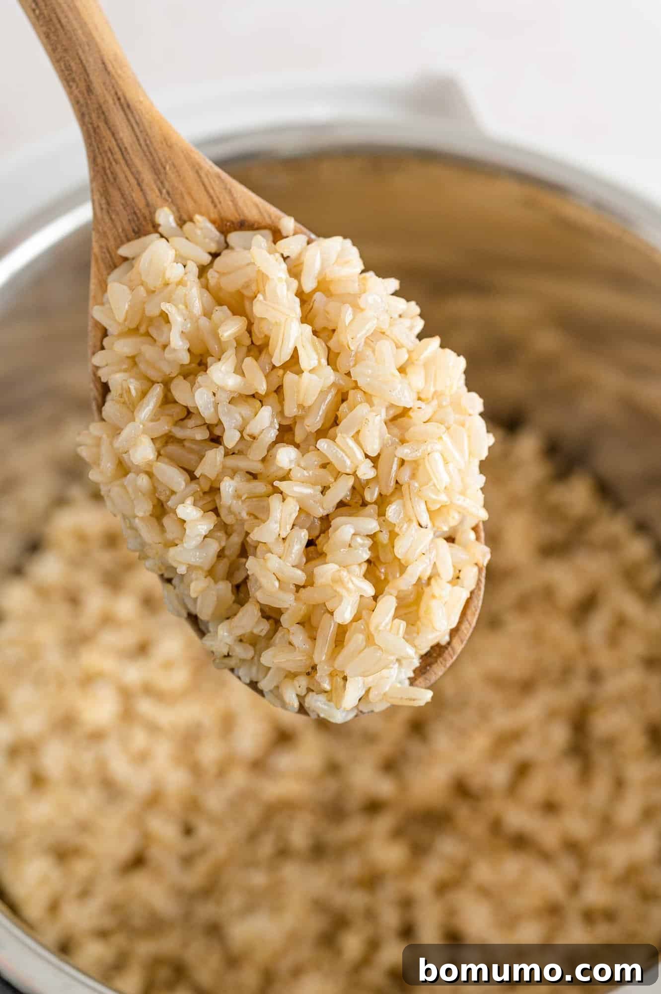 Close-up shot of perfectly cooked brown rice on a wooden spoon, showcasing its fluffy texture.