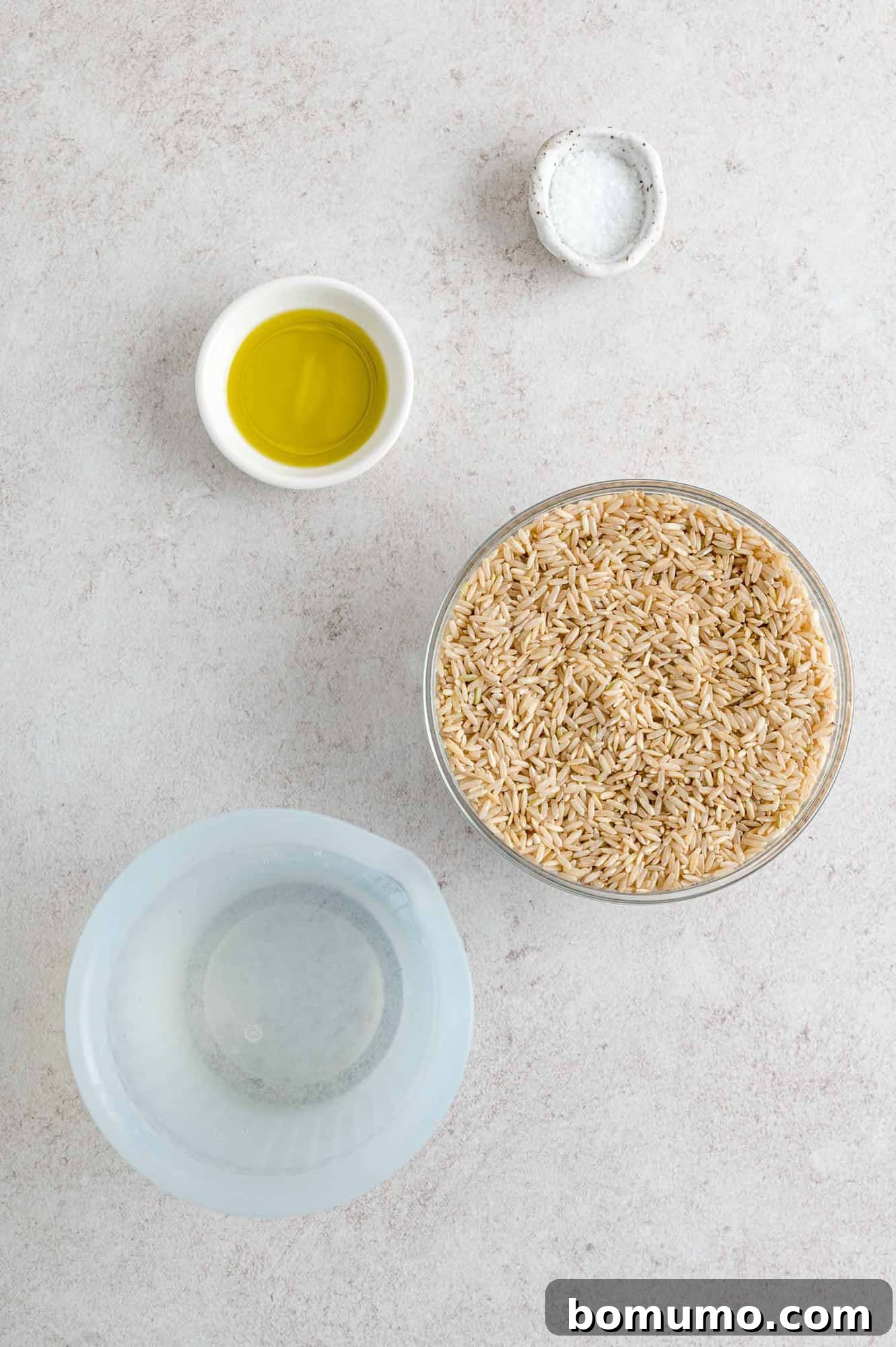 Ingredients for Instant Pot brown rice: uncooked brown rice, a bottle of olive oil, and a small bowl of salt.