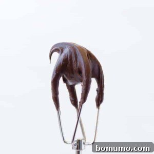 Image of Chocolate Cream Cheese Frosting on a electric beater attachment on a white background