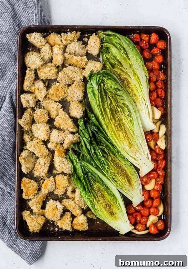 Sheet Pan Roasted Romaine Supper 2 Sheet pan dinner with crispy chicken, beautifully roasted romaine lettuce, and sweet roasted tomatoes and garlic, presented in an appealing overhead shot.