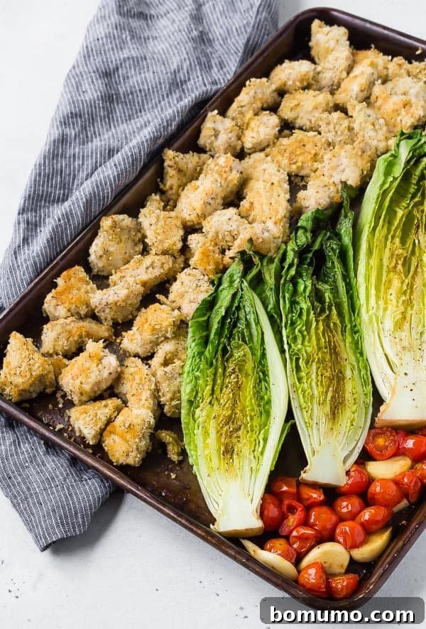 Sheet Pan Roasted Romaine Supper 5 Overhead shot of a vibrant sheet pan dinner featuring roasted romaine, juicy tomatoes, aromatic garlic, and golden crispy chicken, ready to be served.