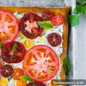 Image of herbed ricotta and fresh tomato tart, taken from above. Garnished with mint leaves.