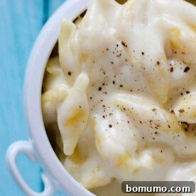 Copycat Panera Mac and Cheese -- made in one pan only! On RachelCooks.com
