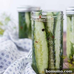 Image of homemade refrigerator dill pickles in a jar. Two jars in the background. Sprigs of dill also pictured.