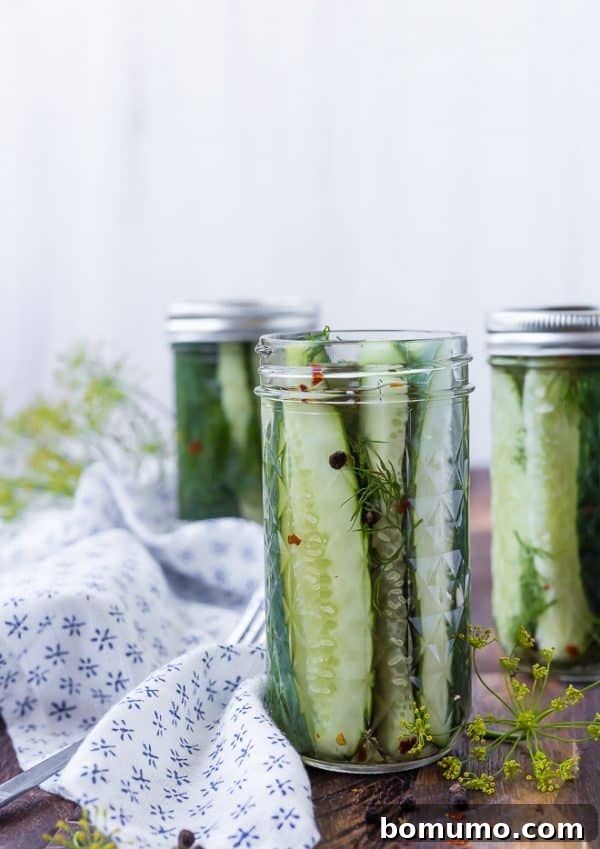 Image of quick dill pickles in a jar. Two pickle bars in the background are also pictured. 
