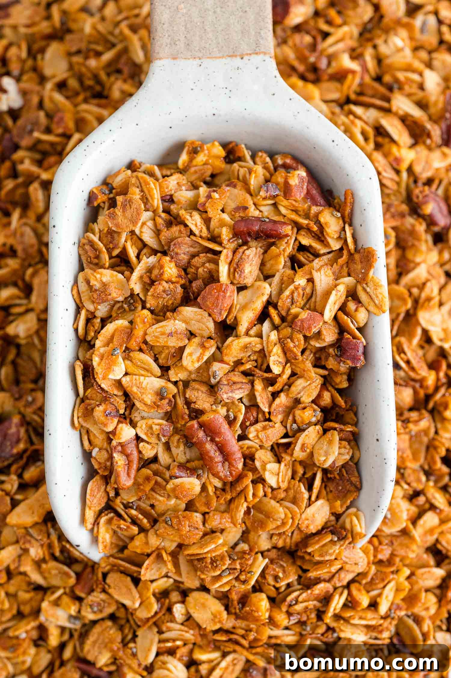 Golden-brown granola elegantly presented in a white scoop, with more granola in the background, hinting at abundance.
