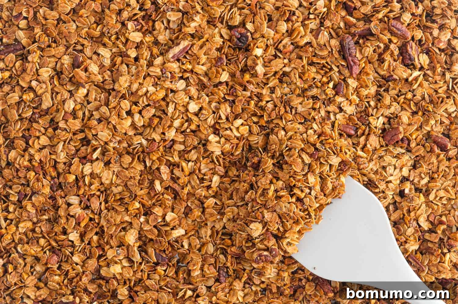 Freshly baked, golden-brown granola spread evenly on a baking pan, showing its inviting crispy texture straight out of the oven.