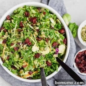 Overhead view of a vibrant sweet kale salad with dried cranberries.