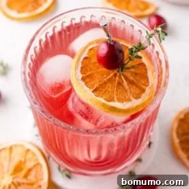 A festive glass of cranberry thyme spritzer, garnished with a dried orange slice, cranberry, and sprig of thyme on a pick.