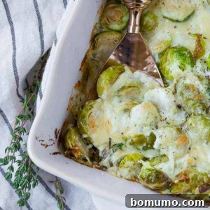 Cheesy brussels sprouts gratin with a spoon scooping out one big cheesy scoop.