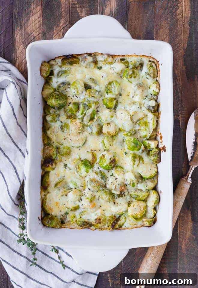 An inviting overhead view of a pan filled with golden-brown and bubbling brussels sprouts gratin, ready to be served.