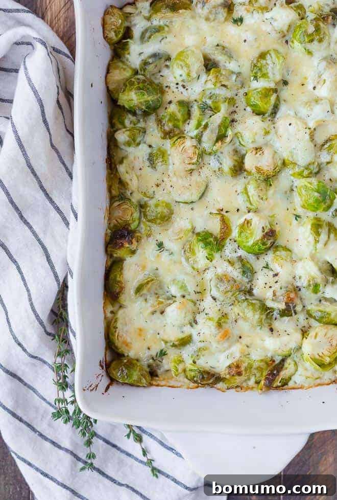 A white baking dish filled with cheesy Brussels sprouts gratin, garnished with fresh thyme sprigs, showcasing its rich texture.