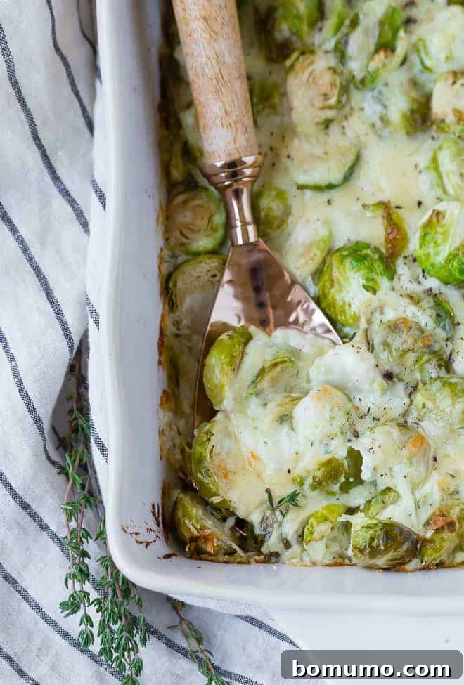 A close-up view of halved Brussels sprouts and shredded Gruyère cheese nestled in a white baking dish, ready for the creamy sauce.