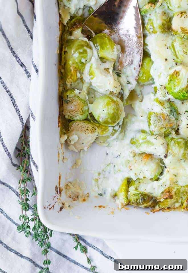 A serving spoon scoops a large, cheesy portion of Brussels sprouts gratin from a white baking dish, showcasing the creamy interior.