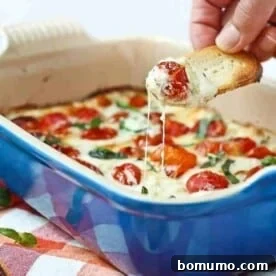 A piece of bread dipping into melted cheese and warm tomatoes, highlighting a delicious hot Caprese dip.