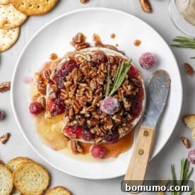 Overhead view of baked brie topped with cranberries and pecans, a perfect elegant holiday appetizer.