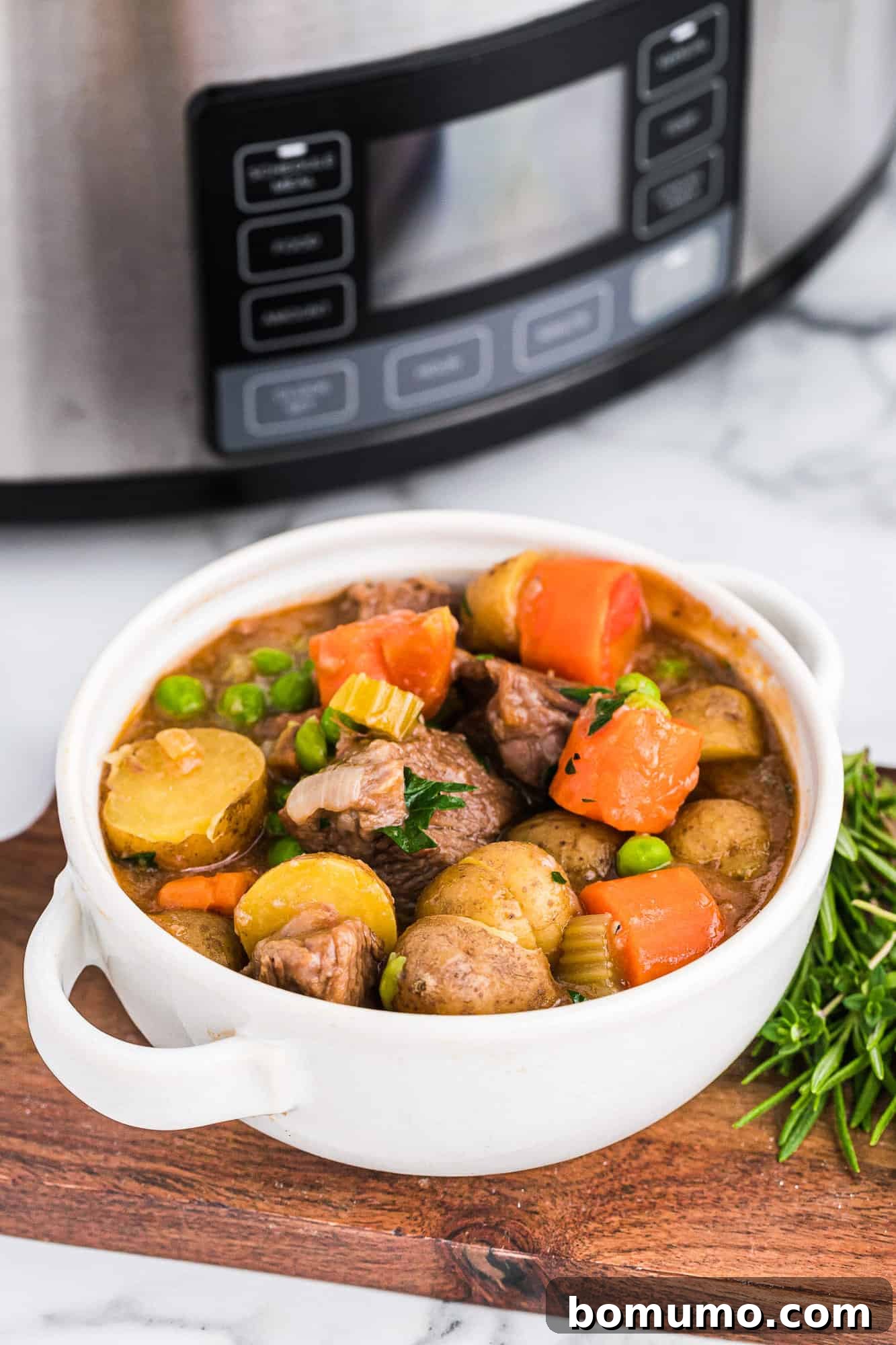 A steaming bowl of beef stew positioned in front of a slow cooker, ready for serving.
