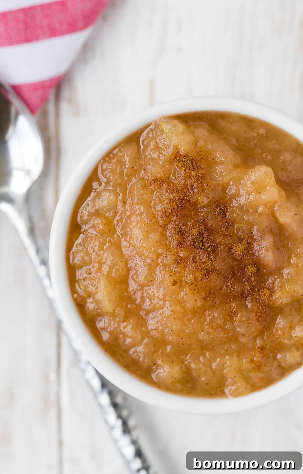 Simple Instant Pot Applesauce 2 A bowl of freshly made cinnamon applesauce, garnished with a cinnamon stick, viewed from above.