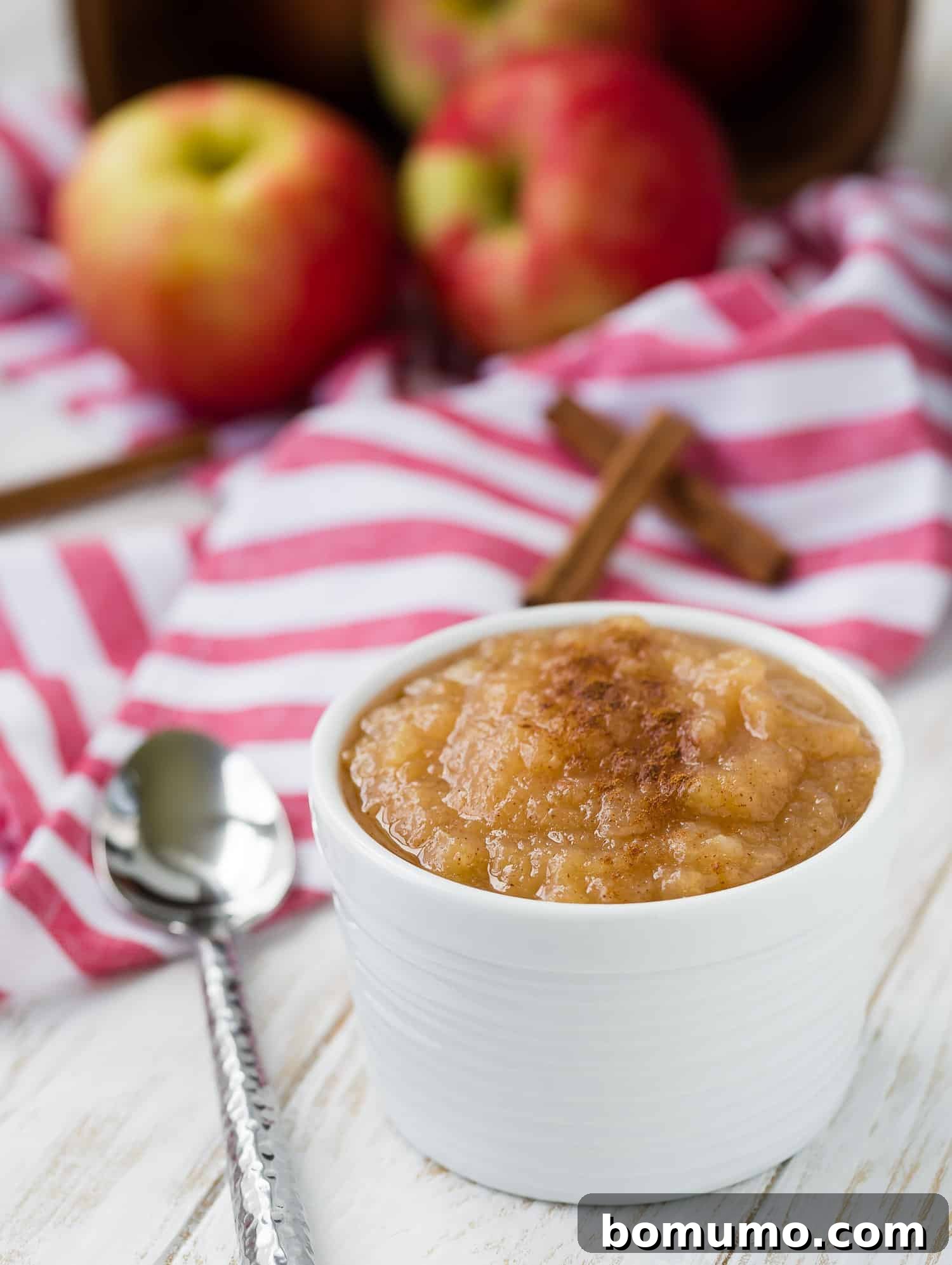Simple Instant Pot Applesauce 5 Pressure cooker applesauce in a pristine white bowl, ready to be served.