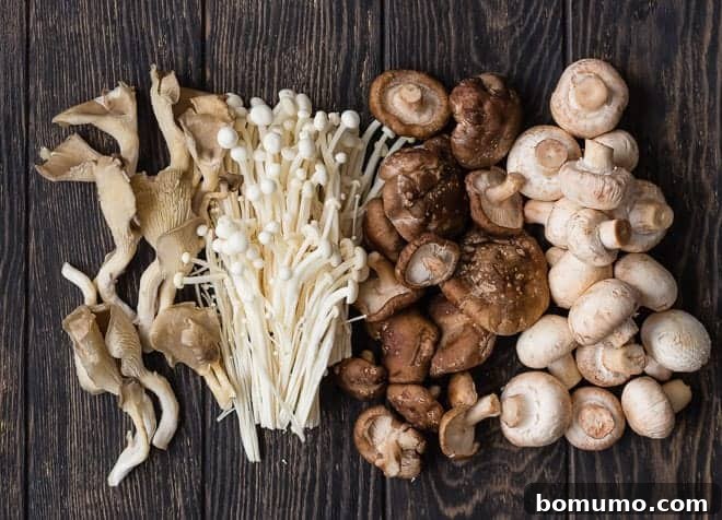 Photograph of four varieties of mushrooms.