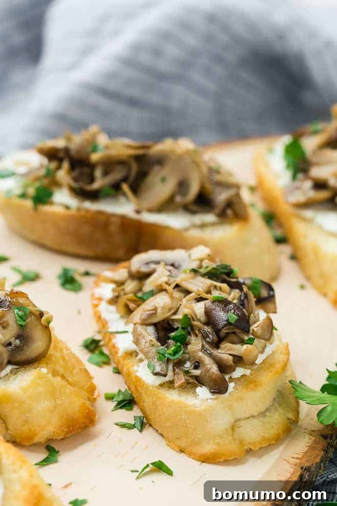 image of goat cheese and assorted sauteed mushrooms on a piece of crostini toast.