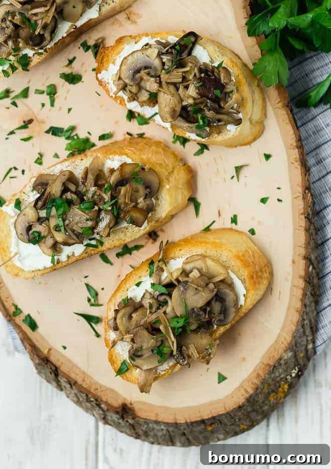 Bursting with earthy flavor, wild mushroom crostini are a delightful appetizer your guests will clamor for. You'll love how easy they are to prepare!