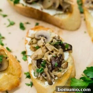 image of wild mushroom crostini with goat cheese, garnished with fresh parsley. Arranged with multiple crostini