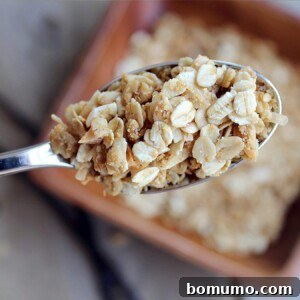Overhead closeup of spoonful of granola, with bowl in background, ready to be enjoyed.