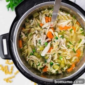 Chicken noodle soup in an instant pot.