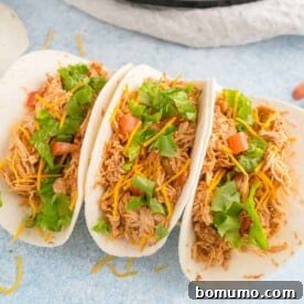 Three chicken tacos topped with lettuce and tomatoes.
