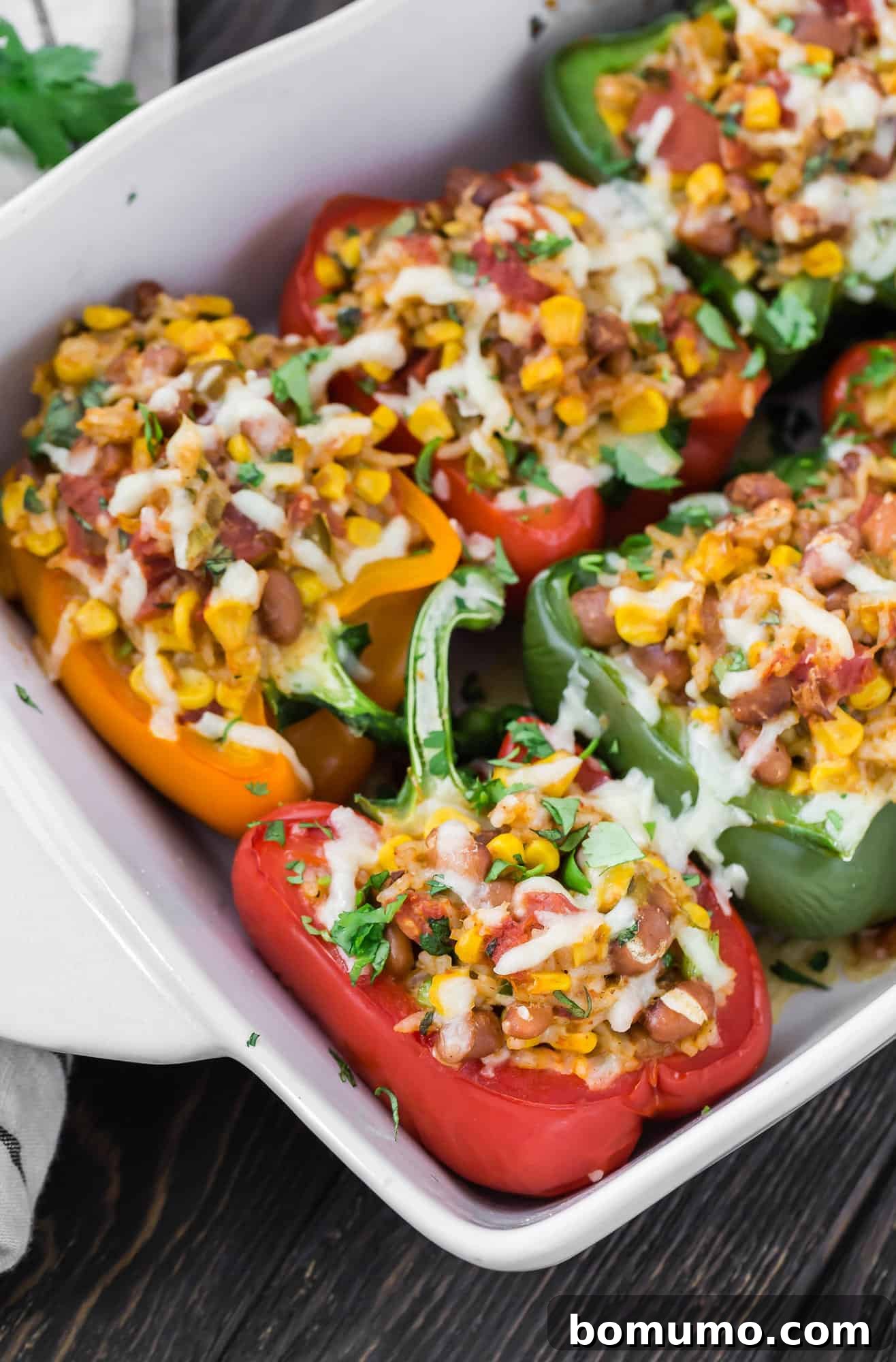 Vibrant vegetarian stuffed bell peppers arranged in a white casserole dish, ready to be served.