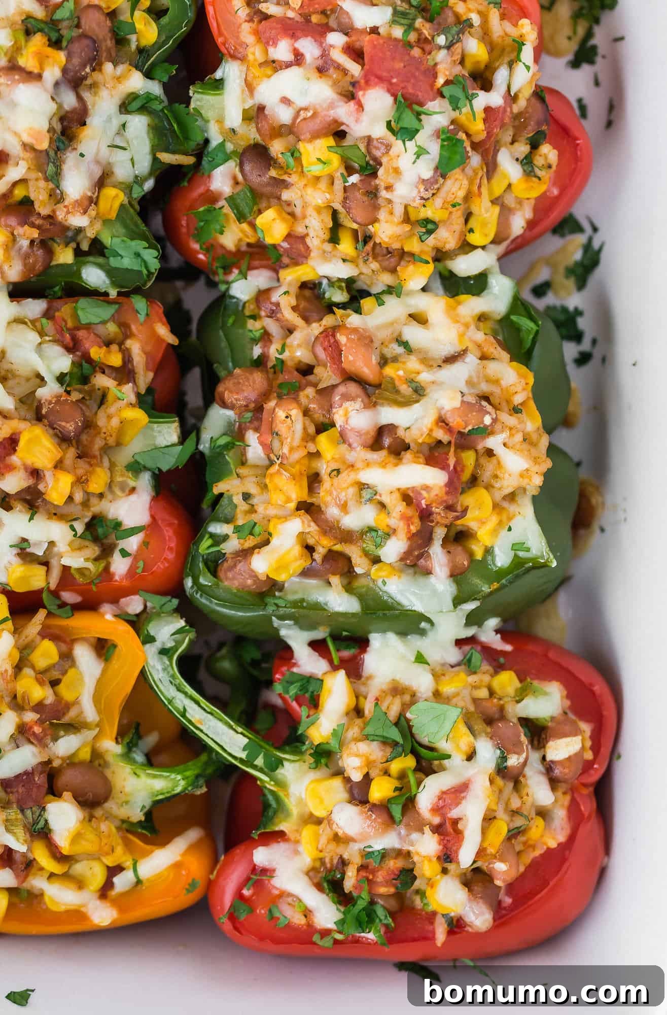 Close-up of baked vegetarian stuffed peppers, showing the rich, cheesy filling, in a casserole dish.