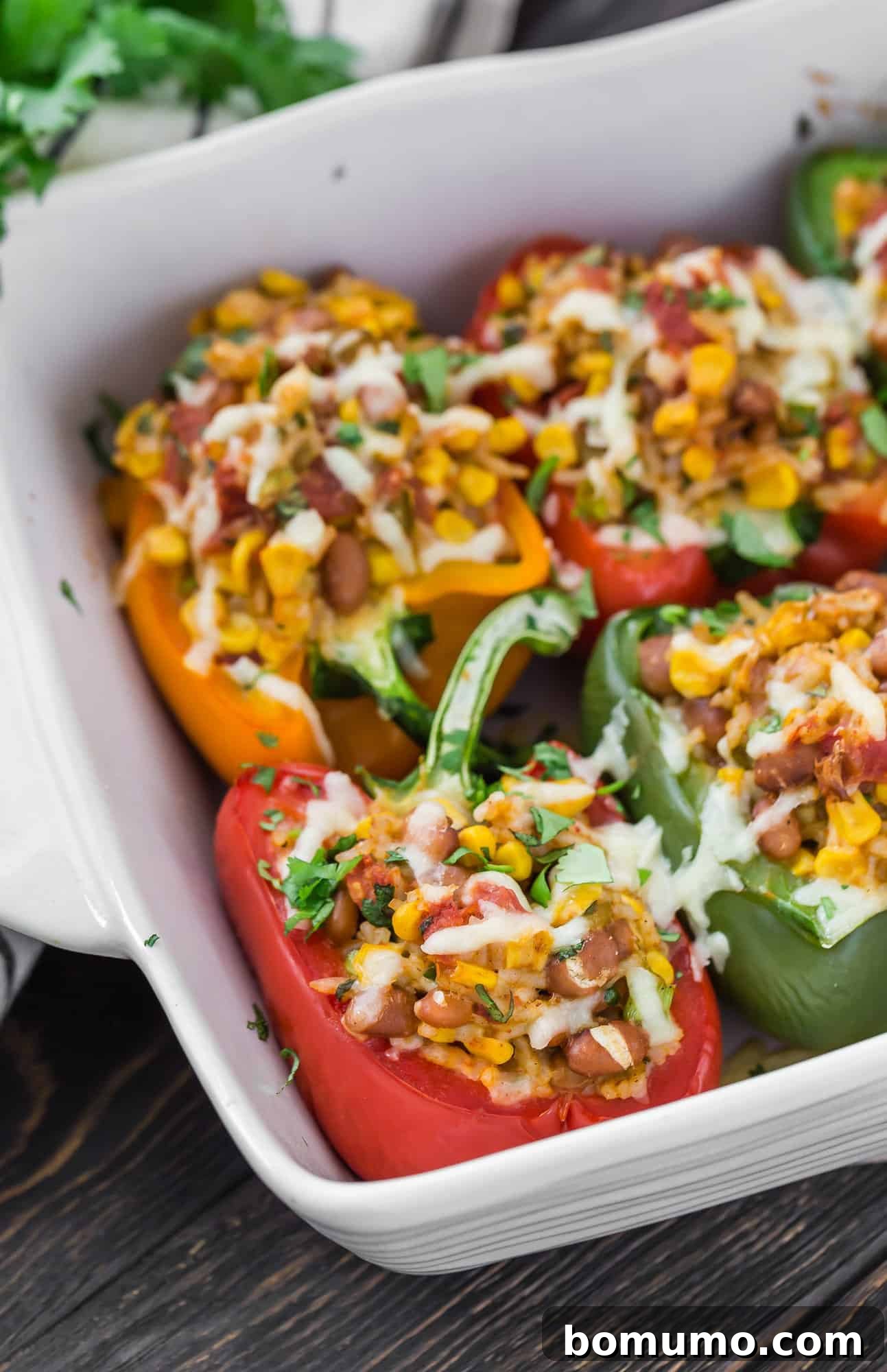 A baking dish filled with colorful vegetarian stuffed peppers, highlighting their appeal as a healthy, plant-based meal.