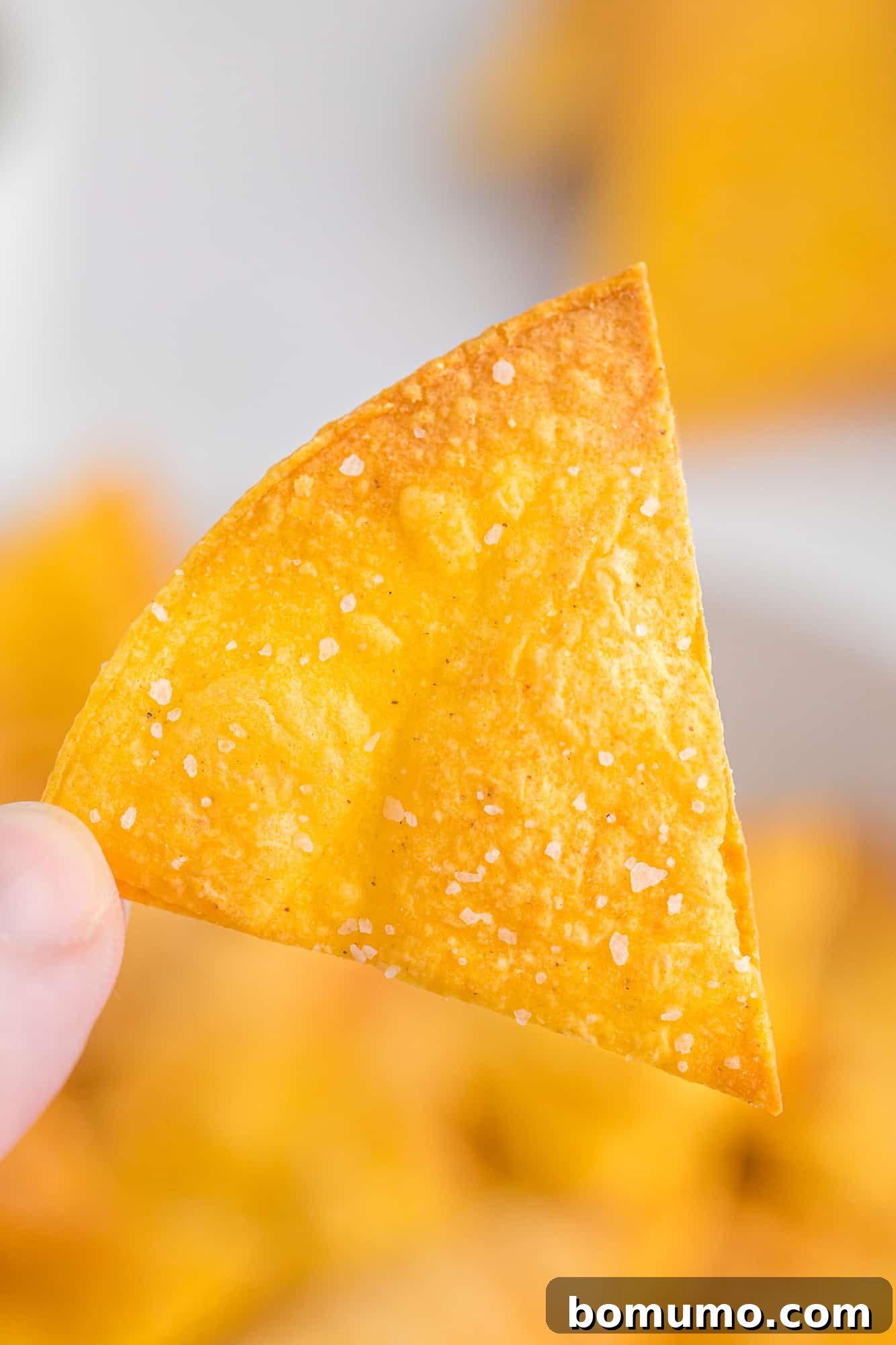 Crispy Oven Tortillas 2 A hand holding a perfectly baked, golden-brown corn tortilla chip, showcasing its crisp texture.
