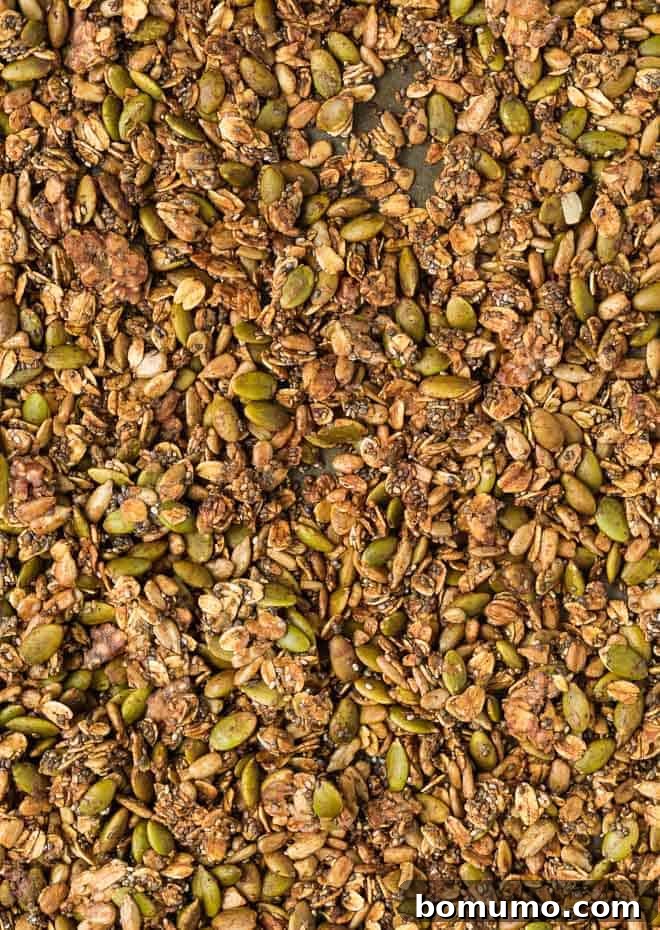 Close up image of nut-free granola made with sunflower seeds, pepitas, oats, and chia seeds, showcasing its rich texture and wholesome ingredients.