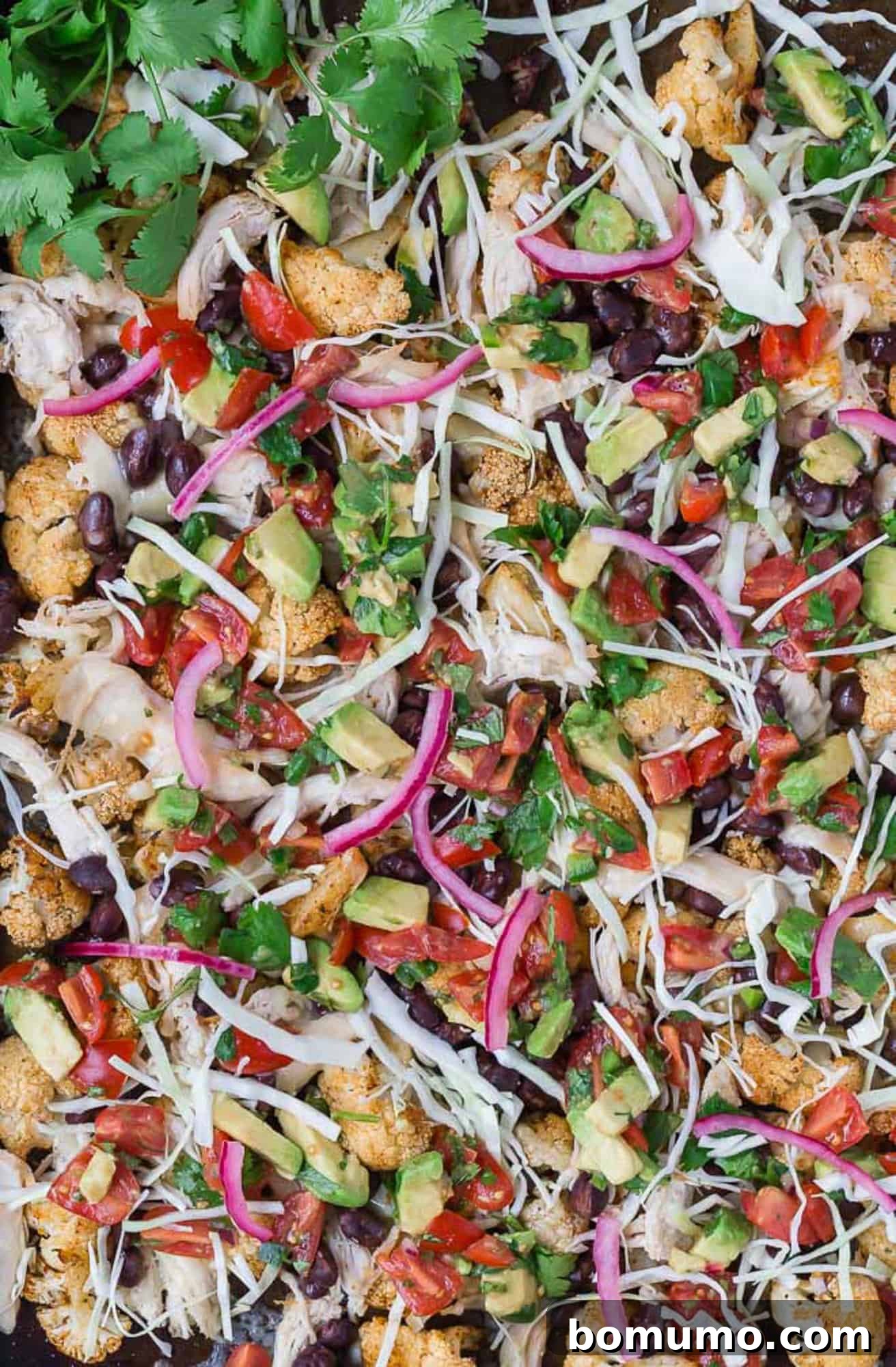 Piled with crisp cabbage, melted cheese, shredded chicken, black beans, diced avocado, and tomatoes, roasted cauliflower nachos have the best of everything! Delicious and healthy cauliflower nachos piled high with shredded chicken, vibrant cilantro, crisp cabbage, and tangy pickled red onions.