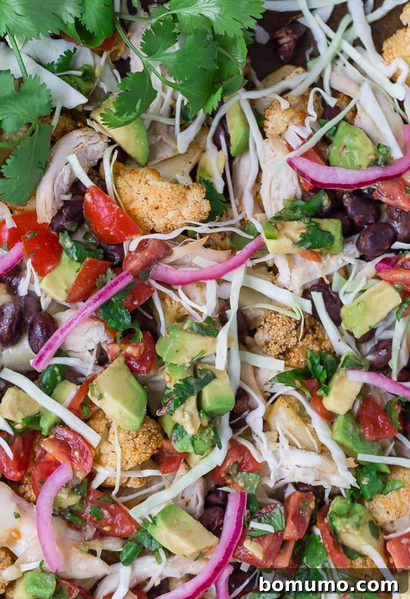 Supreme Cauliflower Nachos 3 A vibrant plate of cauliflower nachos with shredded chicken, fresh cilantro, red onions, creamy avocado, and diced tomatoes.