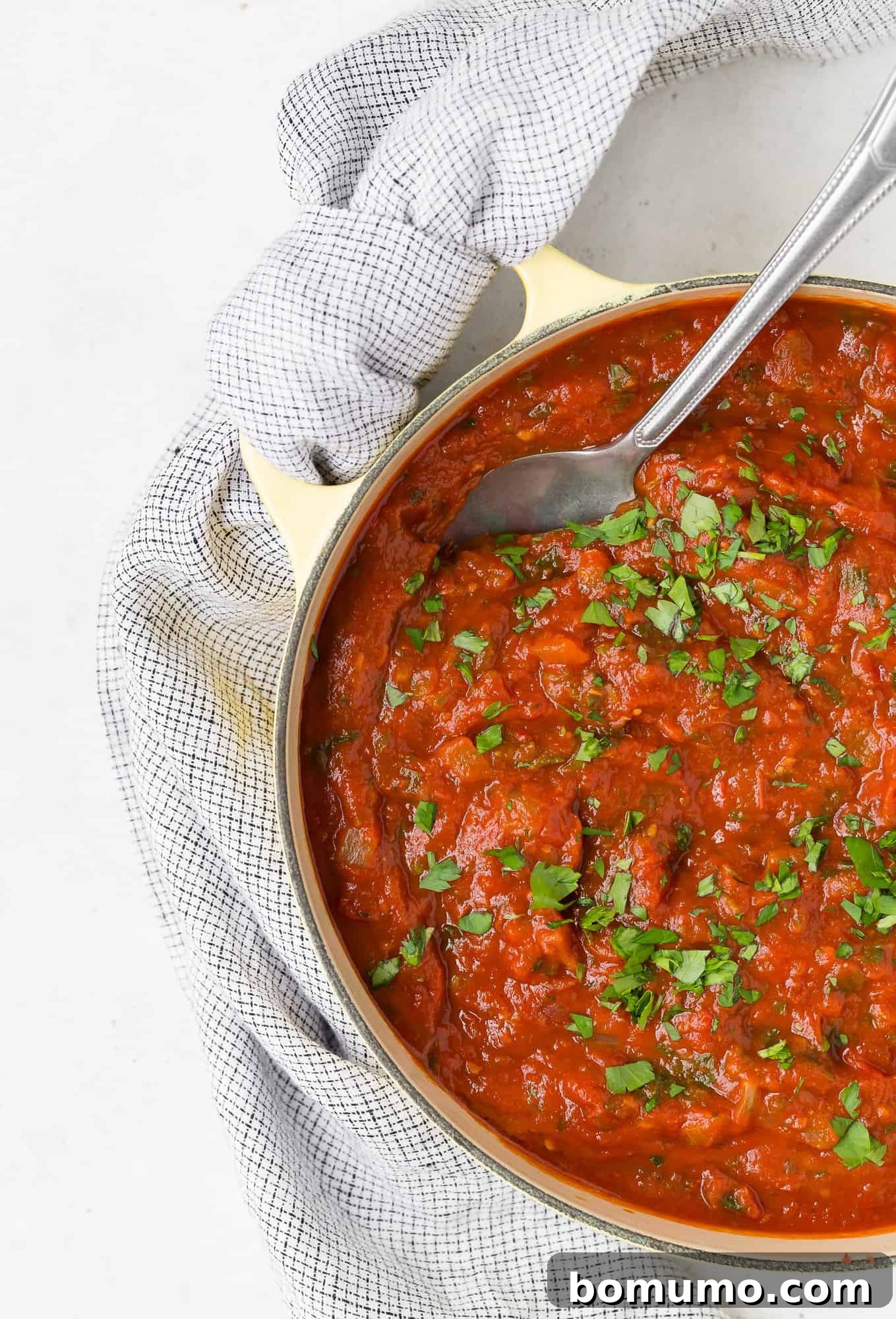 Spaghetti sauce in pan with large serving spoon.