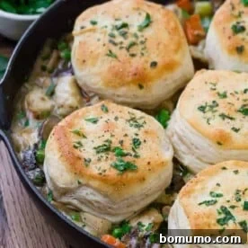 Image of chicken pot pie topped with biscuits.