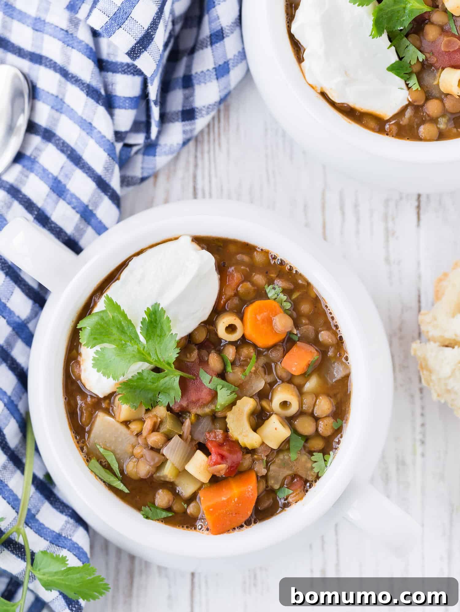 Overhead image of a bowl of lentil and pasta soup, garnished with greek yogurt and cilantro. A rich, warm, and inviting meal.